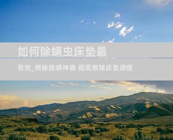 如何除螨虫床垫最有效_揭秘除螨神器 彻底根除床垫顽疾
